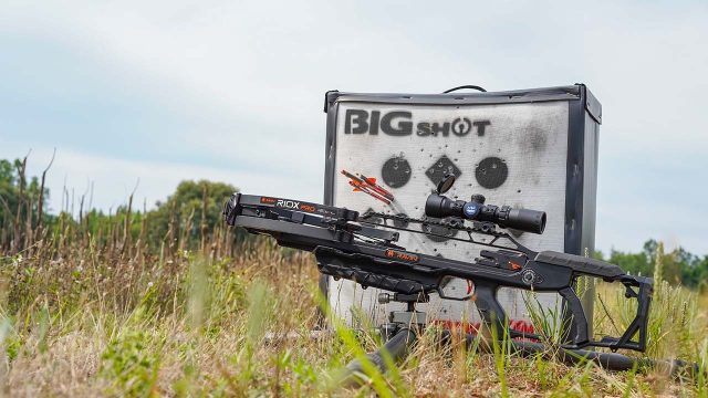 Top Crossbows to Watch in 2026: Performance and Value Unveiled
