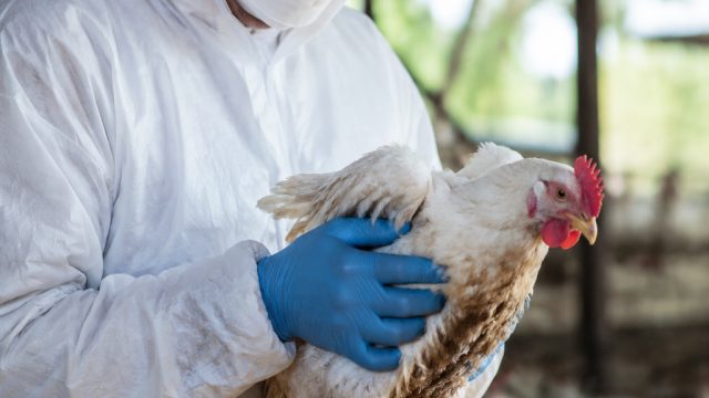 Urgent Call to Action: Combati