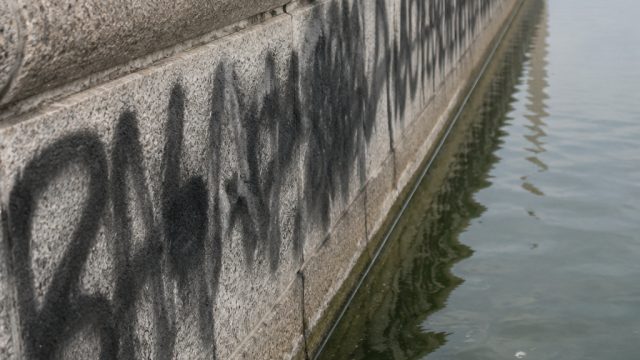 Reflecting Pool Under Fire: Va