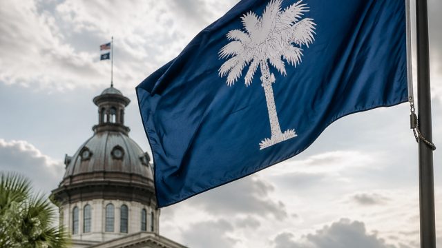 South Carolina's Political Lan