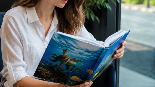 Exploring Ocean Life: A Dive i